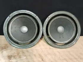 SW2Y GENESIS Physics Woofers Refoaming SW2Y GENESIS Physics Woofers Refoaming