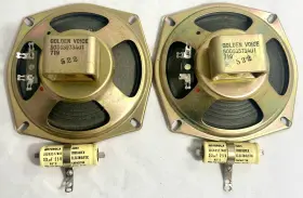 50D63573A01 GOLDEN VOICE Round Alnico Speakers Crossovers