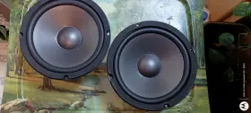 GW-8PC-8 GOLDWOOD SOUND Woofers GW-8PC-8 GOLDWOOD SOUND Woofers
