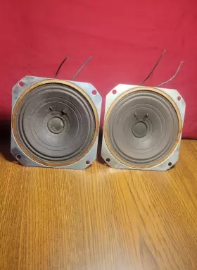 118093-3 GURIAN Alnico Speaker Carbonneau Leslie Tubeera Tube #3