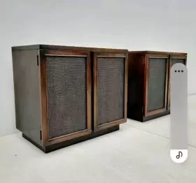 300A HARTLEY Zodiac Wood Speakers #3 300A HARTLEY Zodiac Wood Speakers #3