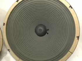 A0243960 HEPPNER ALNICO Speakers Great #2