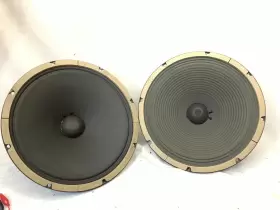 A0243960 HEPPNER ALNICO Speakers Great
