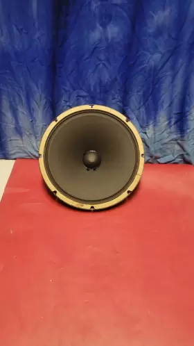 AO-24347-0 HEPPNER Alnico Speaker Cone Guitar Tubeamplifier #3 AO-24347-0 HEPPNER Alnico Speaker Cone Guitar Tubeamplifier #3