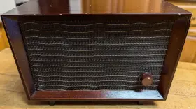 CA-121 HERALD Speaker Mahogany Cabinet #2