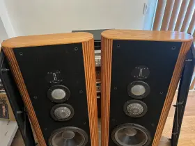 KAPPA-8 INFINITY Audiophile Speaker #3