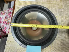 RS3B INFINITY Woofer #3