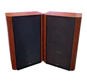 RS5B INFINITY Polydome Studio Monitors Speakers Pioneer