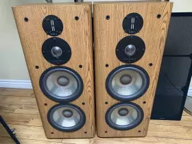 RS6000 INFINITY Loudspeaker Great #3 RS6000 INFINITY Loudspeaker Great #3