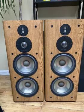 RS6000 INFINITY Loudspeaker Great RS6000 INFINITY Loudspeaker Great