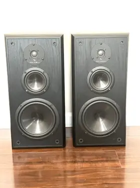 SS-2005 INFINITY Sterling Floor Speaker Refoamed SS-2005 INFINITY Sterling Floor Speaker Refoamed