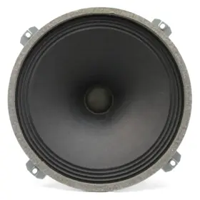 P38A ISOPHON Woofer Alnico Loudspeaker Speaker P38A ISOPHON Woofer Alnico Loudspeaker Speaker