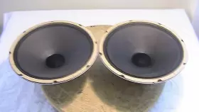 12JB35 J-W DAVIS Woofers Alnico Magnet