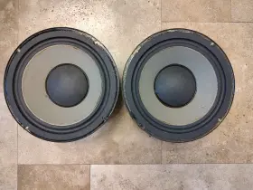 100-0017 JANSZEN Eminence Woofer Speakers Refoamed