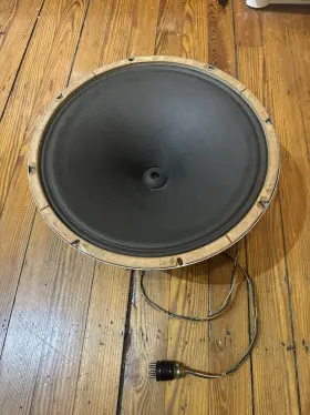 1D3189 JENSEN Magnavox Field Coil Curved Cone Rips Rubs