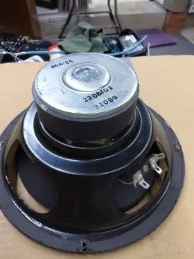 2208701 JENSEN Single Woofer Advent Reedge Dcr 2208701 JENSEN Single Woofer Advent Reedge Dcr
