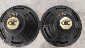 C12-R JENSEN Speakers