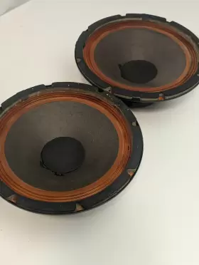 C7895-SS JENSEN Surrounds Woofer Speakers C7895-SS JENSEN Surrounds Woofer Speakers