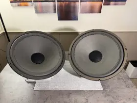 C9849 JENSEN Woofers