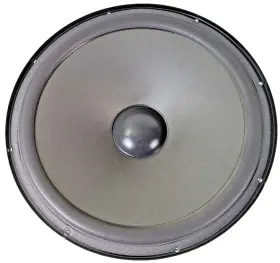 D02-0003 JENSEN Woofers Jhs Cabinet Speaker