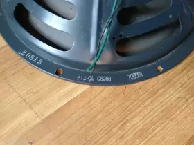 P12Q JENSEN Speaker #2