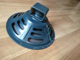 P12Q JENSEN Speaker #3