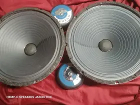 P12SX JENSEN Alnico Speaker Completely Refabricated Pmr P12SX JENSEN Alnico Speaker Completely Refabricated Pmr