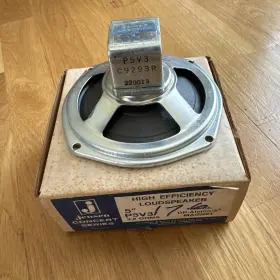 P5V3 JENSEN Concert Intercom Speaker