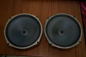 P8SS JENSEN Design Alnico Fullrange Speakers
