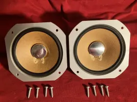 ASK-700 JVC Midrange Speakers