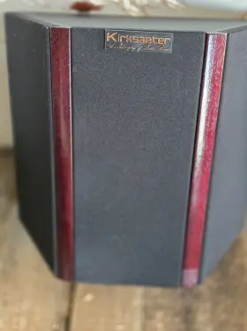 SLD60 KIRKSAETER Silverline Dipol Speaker