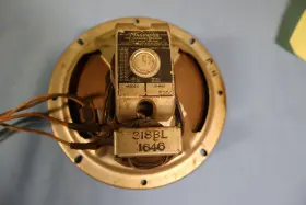 318BL-1646 MAGNAVOX Magnavpx Speaker Unknow Radio Cone