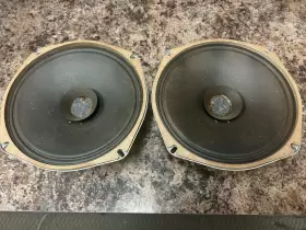 580806 MAGNAVOX Alnico Whizzer Cone Speakers