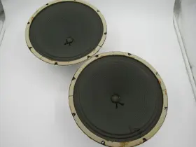 581223-1 MAGNAVOX Woofers
