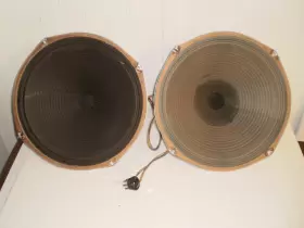 582815 MAGNAVOX Field Coil Speaker Set #2 582815 MAGNAVOX Field Coil Speaker Set #2