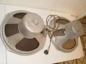 582815 MAGNAVOX Field Coil Speaker Set #3 582815 MAGNAVOX Field Coil Speaker Set #3