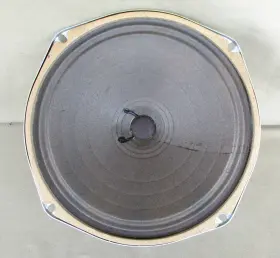 767841 MAGNAVOX Quincy Woofer Speaker