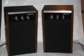 SE2651 MOTOROLA Wireless Speakers