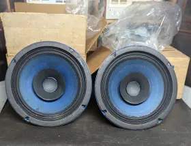 FE8KW OAKTRON Speakers