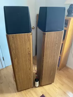 FRS-15 STEREO Omnidirectional Speakers #2