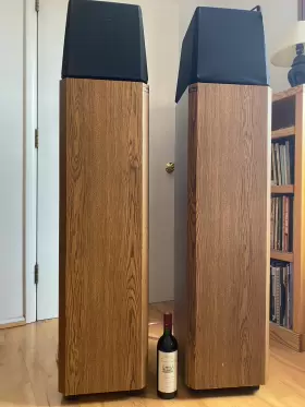 FRS-15 STEREO Omnidirectional Speakers