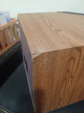 FRS-5 Speakers #3