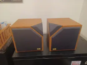 FRS-5 Speakers