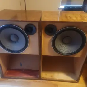 TL-1601B Tad Frequency