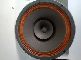 S-604 OLSON Speaker