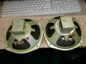 8ES-6 OXFORD Alnico Speakers
