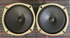 EAS-16P91SA PANASONIC Speaker