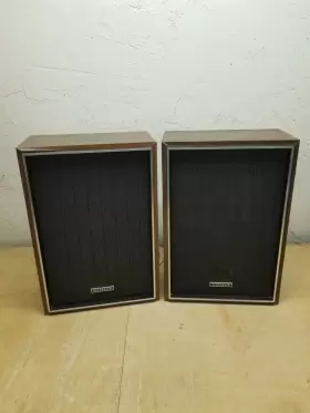 SB-308 PANASONIC Wood Laminate Stereo Speakers