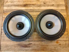 2010383730 PARADIGM Woofer 2010383730 PARADIGM Woofer