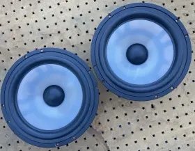 B126WF002 PARADIGM Sweet Woofers Speakers Dcr Monitor